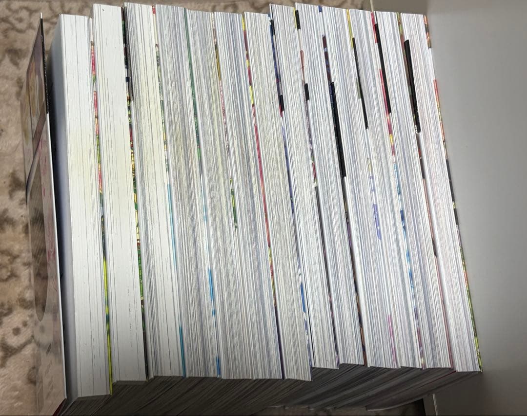 ある日、お姫様になってしまった件について 全13巻