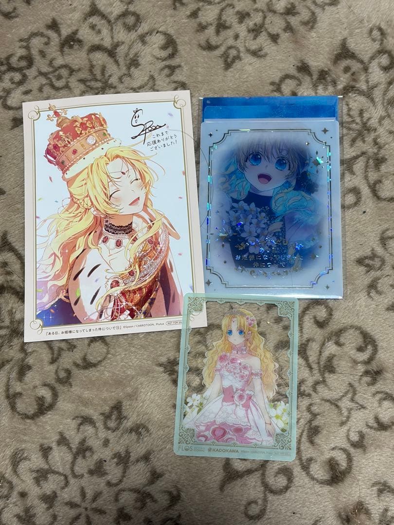 ある日、お姫様になってしまった件について 全13巻