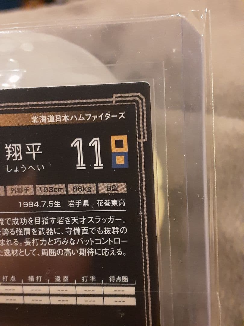 大谷翔平選手　ルーキーカード　2013　オーナーズリーグ　ホロカード【良品】