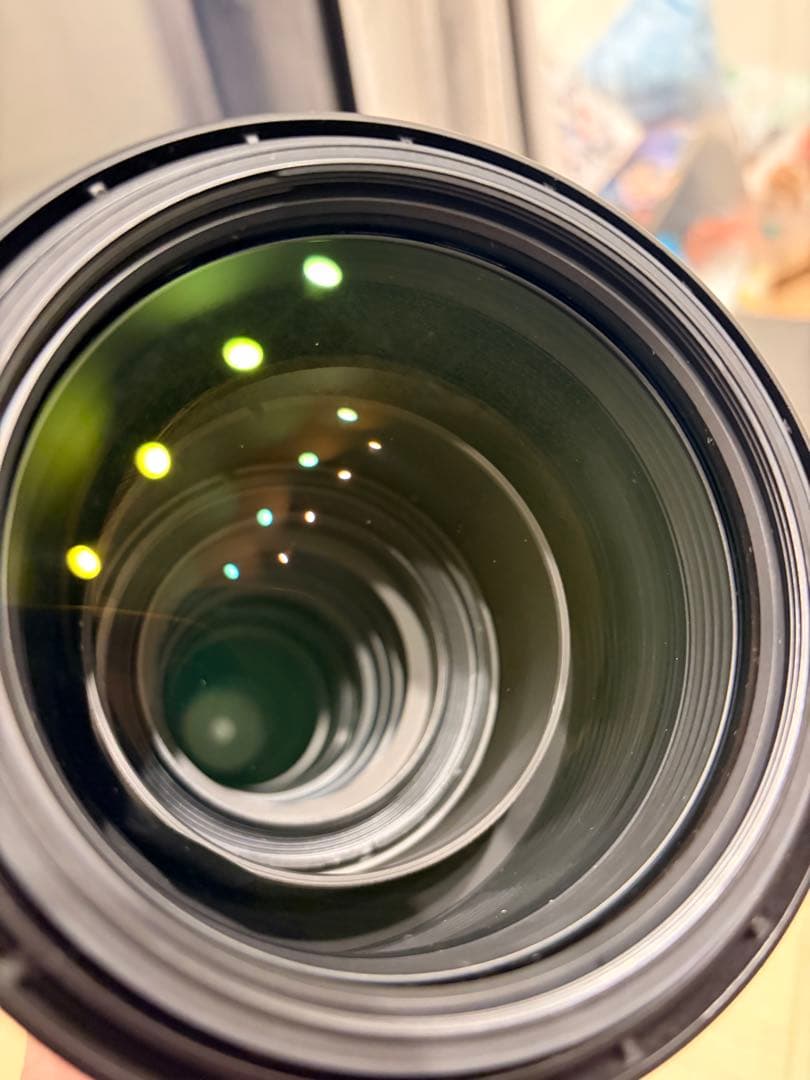 SIGMA 150-600mm F5-6.3 DG レンズ