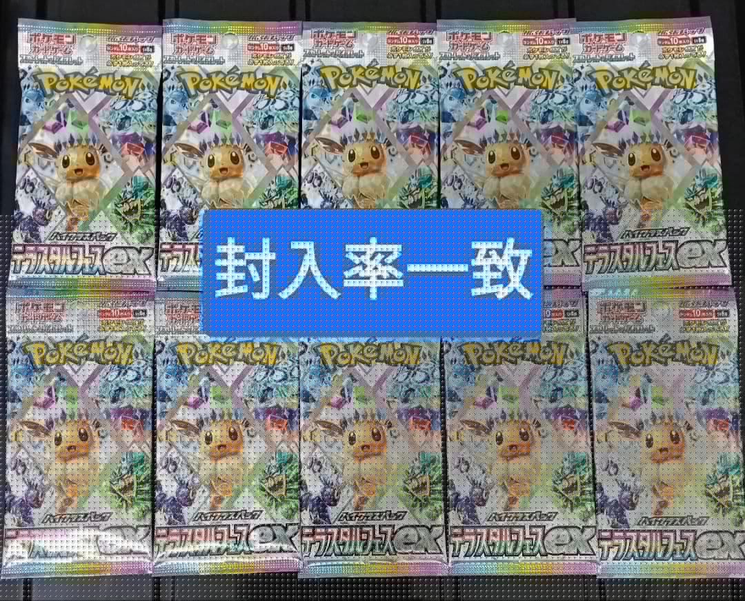 ポケモンカード テラスタルフェスEX 封入率一致 10パック