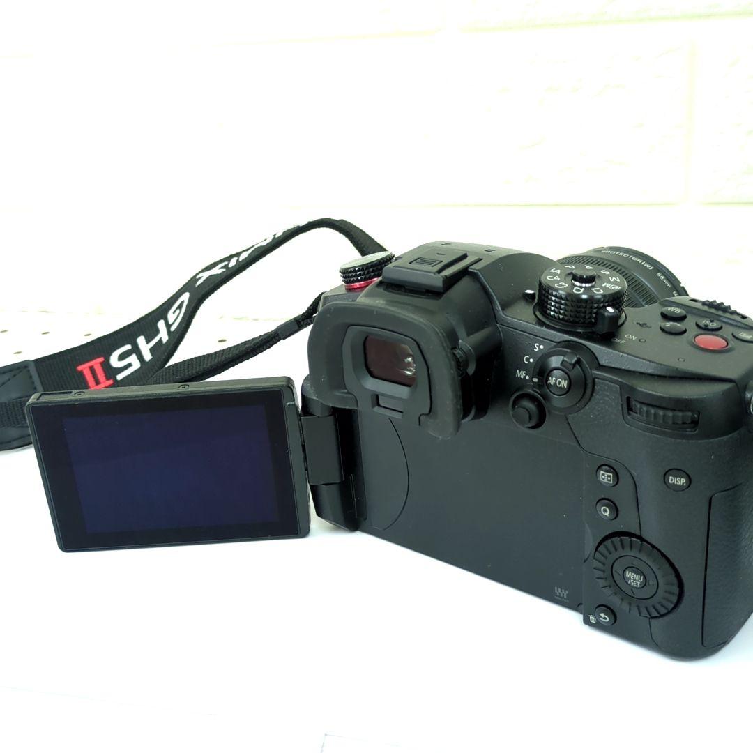 パナソニック ミラーレス一眼カメラ ルミックス GH5M2 レンズキット 高倍率
