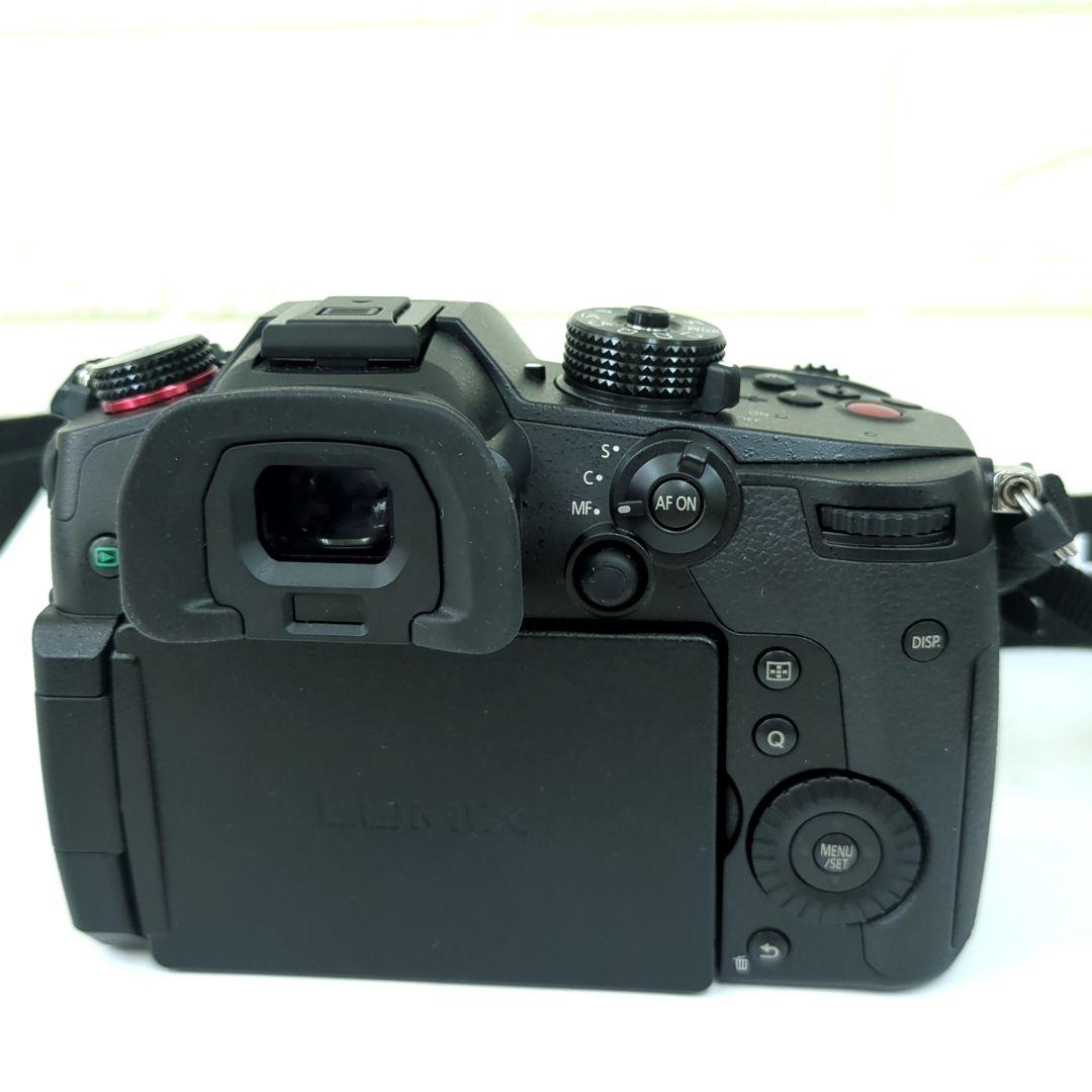 パナソニック ミラーレス一眼カメラ ルミックス GH5M2 レンズキット 高倍率