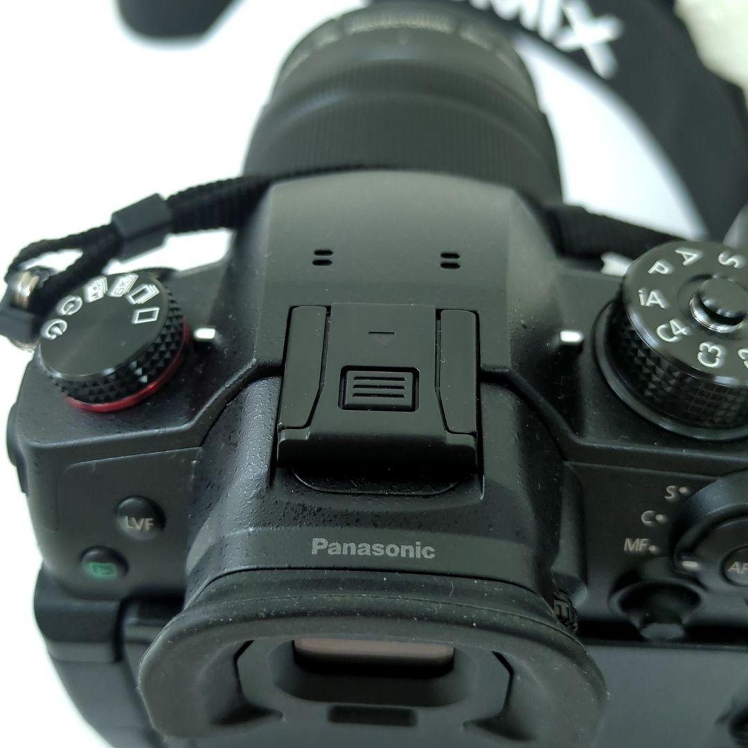 パナソニック ミラーレス一眼カメラ ルミックス GH5M2 レンズキット 高倍率