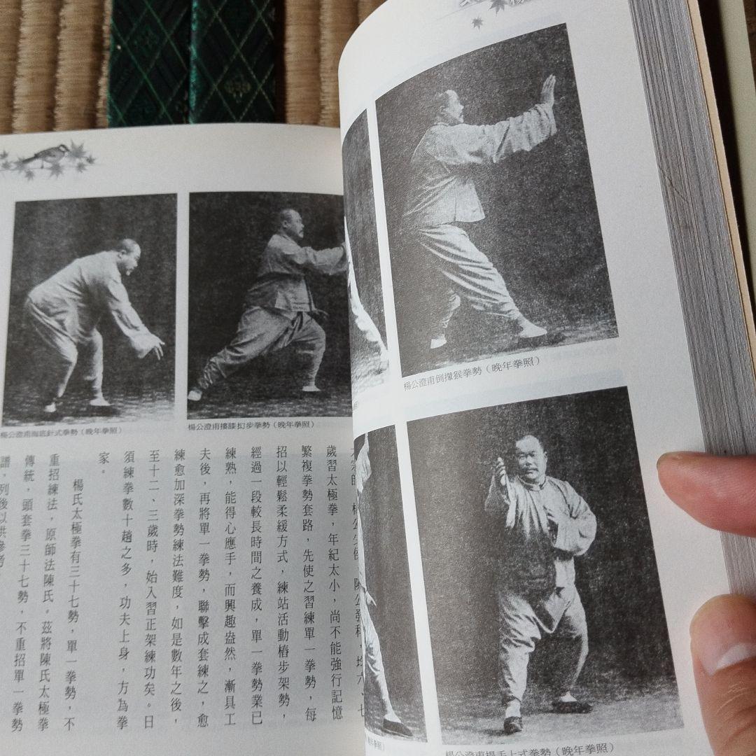 太極拳研究 楊式太極拳　呉式太極拳　武式太極拳　孫式太極拳など