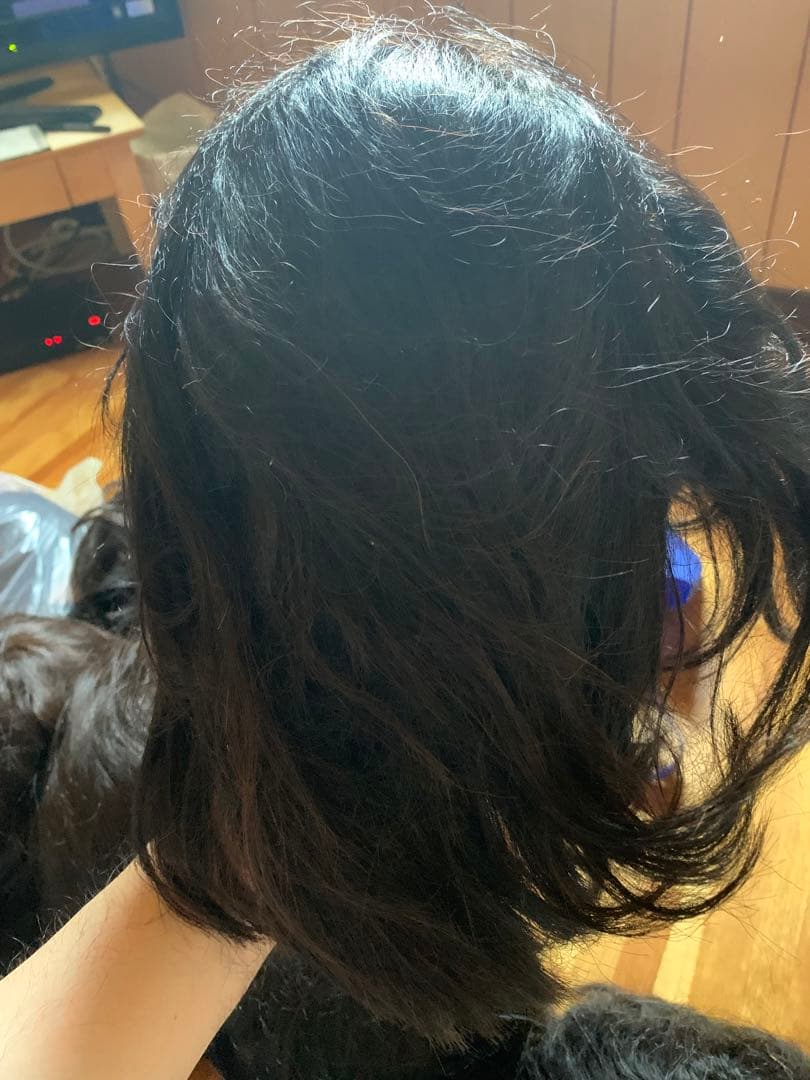 使用済みの人毛カットウィッグ　12体セット売り