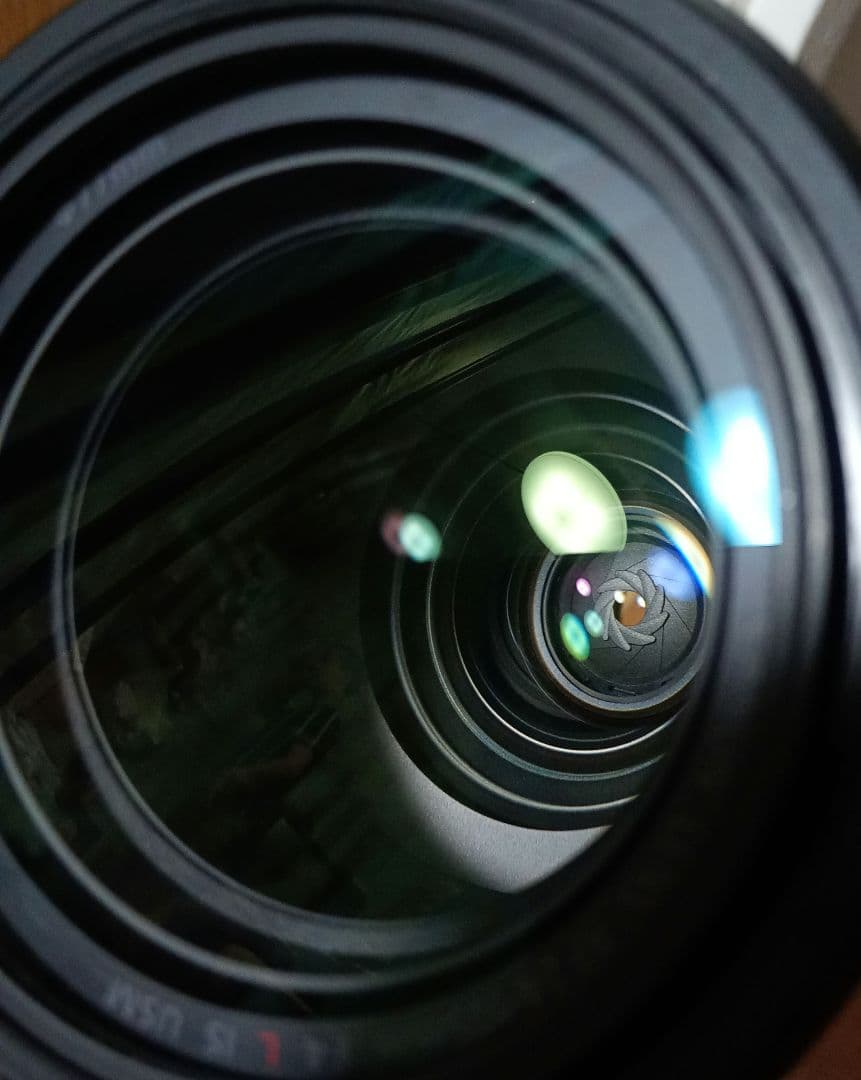 【10/15まで】Canon RF 24-105mm F4 L IS USM