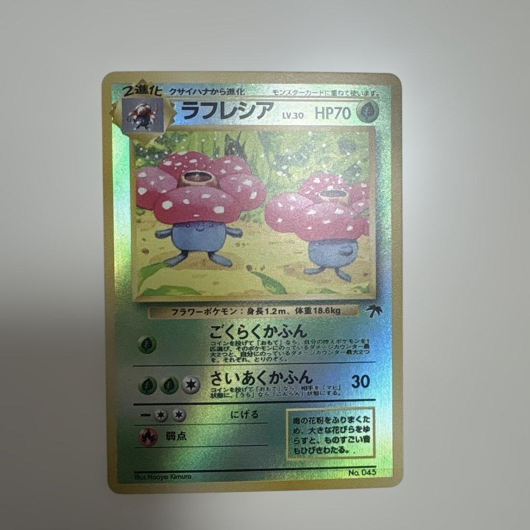 サザンアイランド　ジャングル　旧裏ポケモンカード　ポストカード付