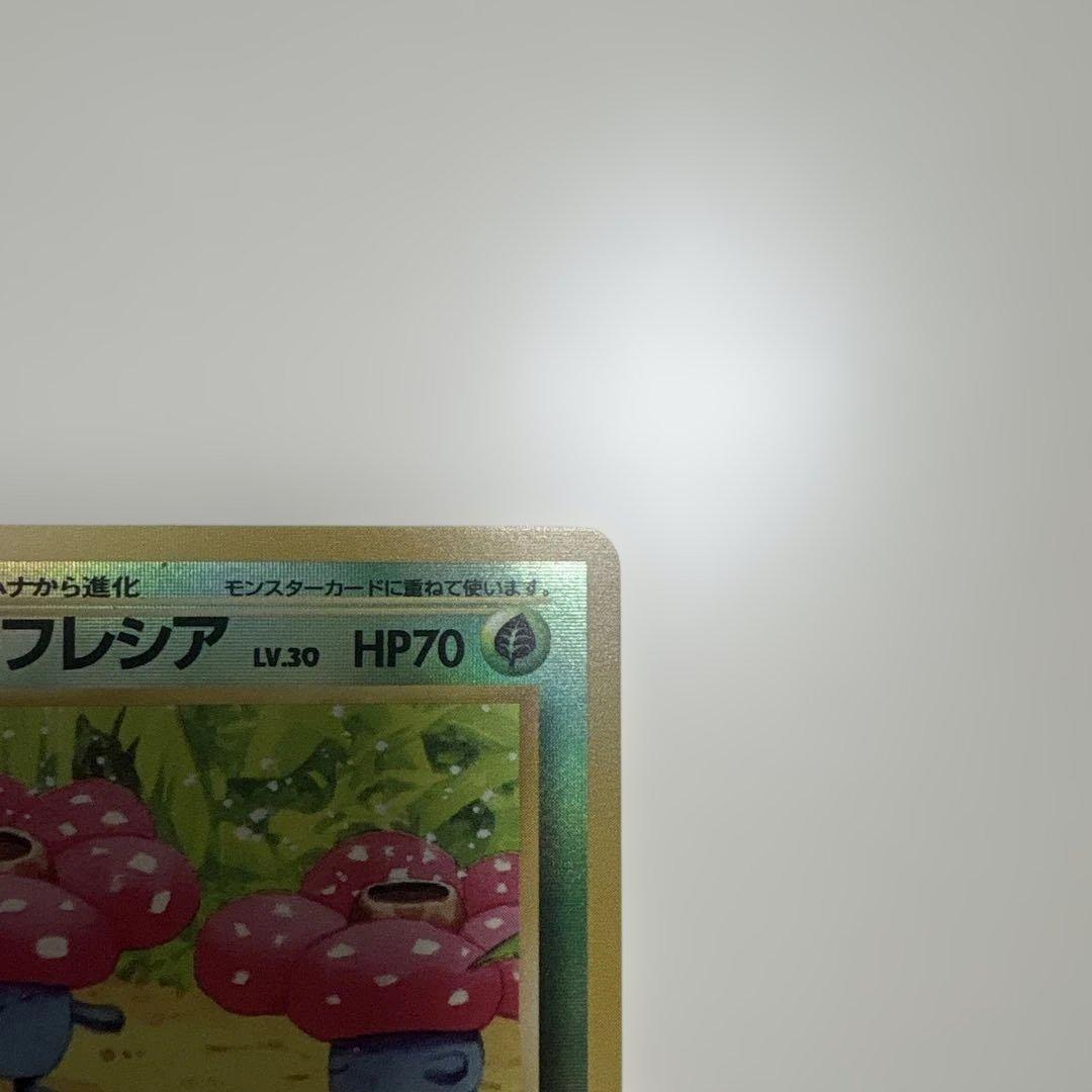 サザンアイランド　ジャングル　旧裏ポケモンカード　ポストカード付