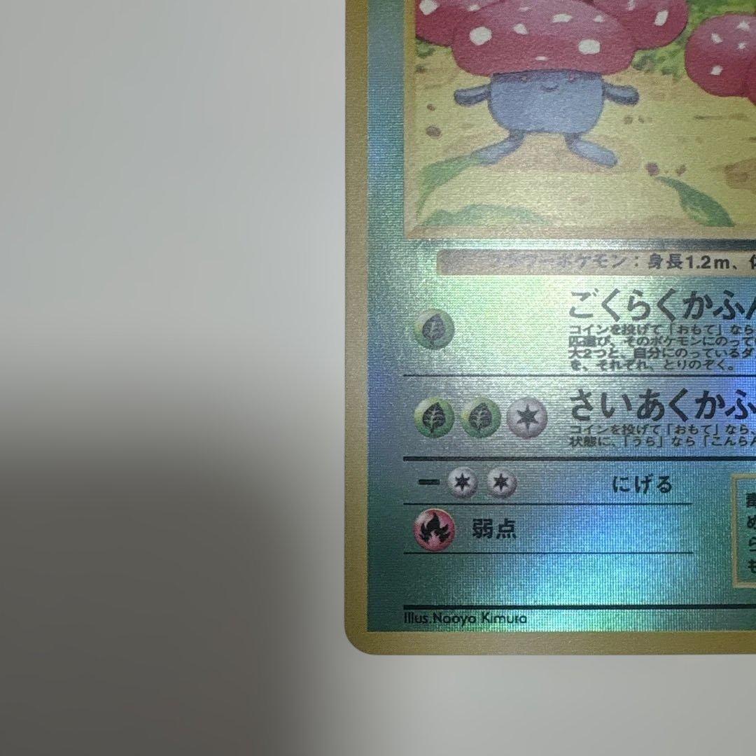 サザンアイランド　ジャングル　旧裏ポケモンカード　ポストカード付