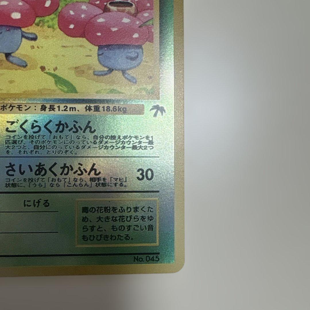 サザンアイランド　ジャングル　旧裏ポケモンカード　ポストカード付