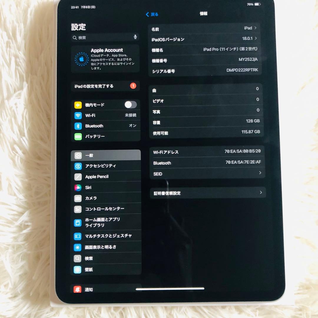 【7/13販売終了】iPad Pro 11 第2世代 128GB 【すぐ発送】