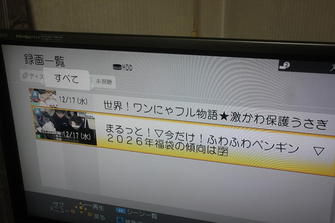 め*め様 Panasonic DMR-BRS500 500GB リモコン付 ブル