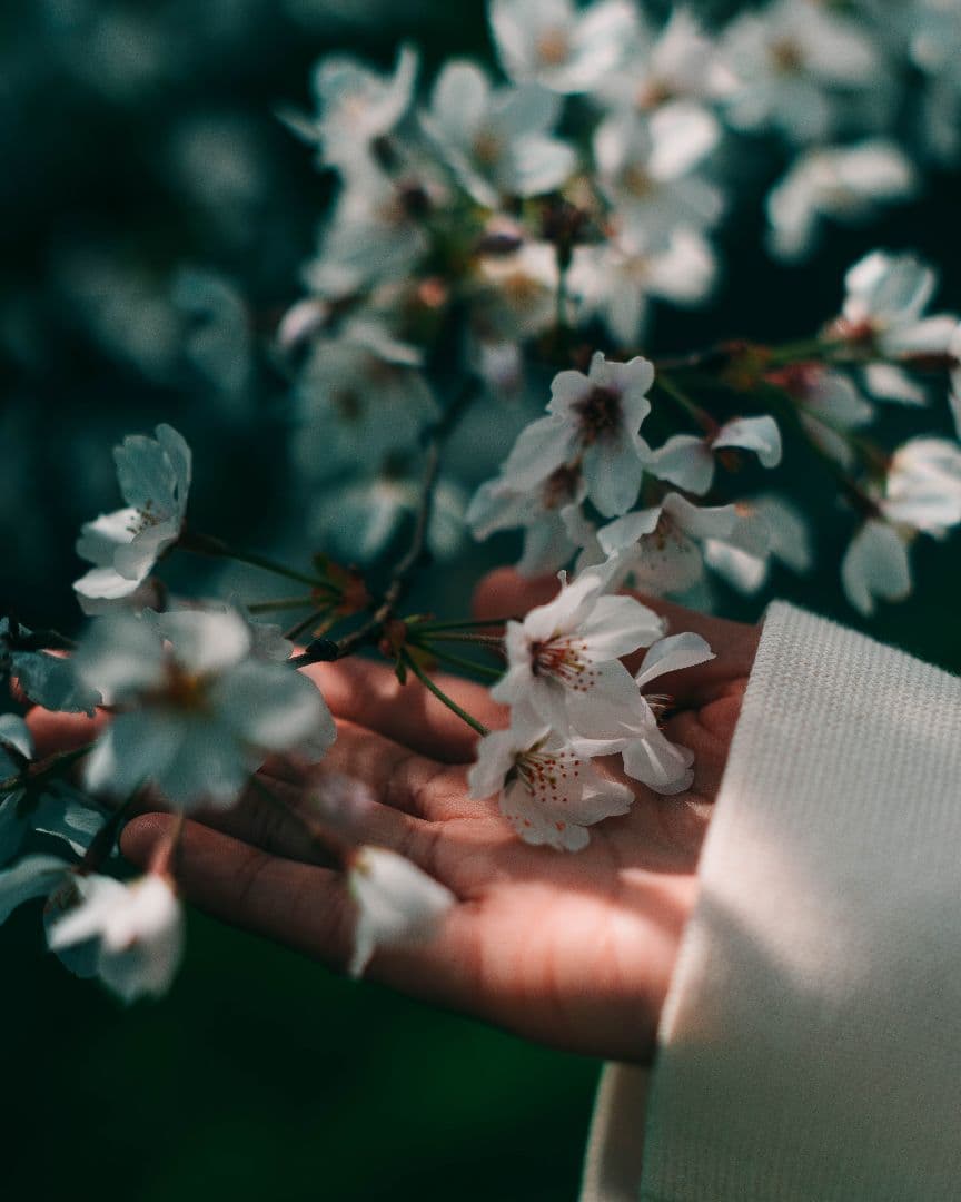 NOKTON Classic 35mm F1.4 SCバージョン