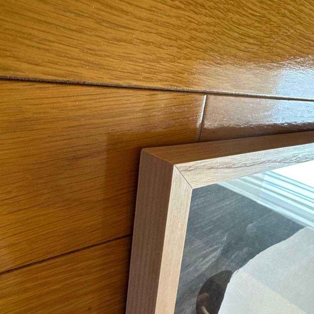 MOGU TAKAHASHI ポスター