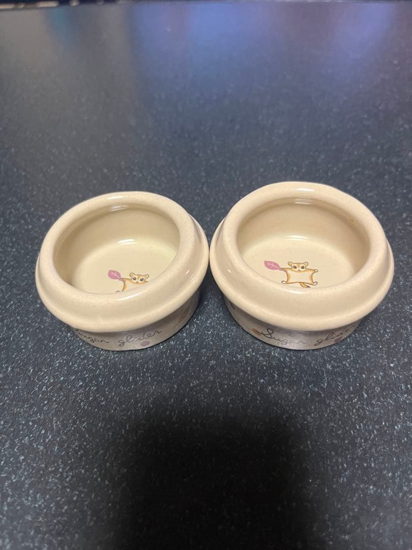 アクリルケージ　フクロモモンガ　冬には値上げします。