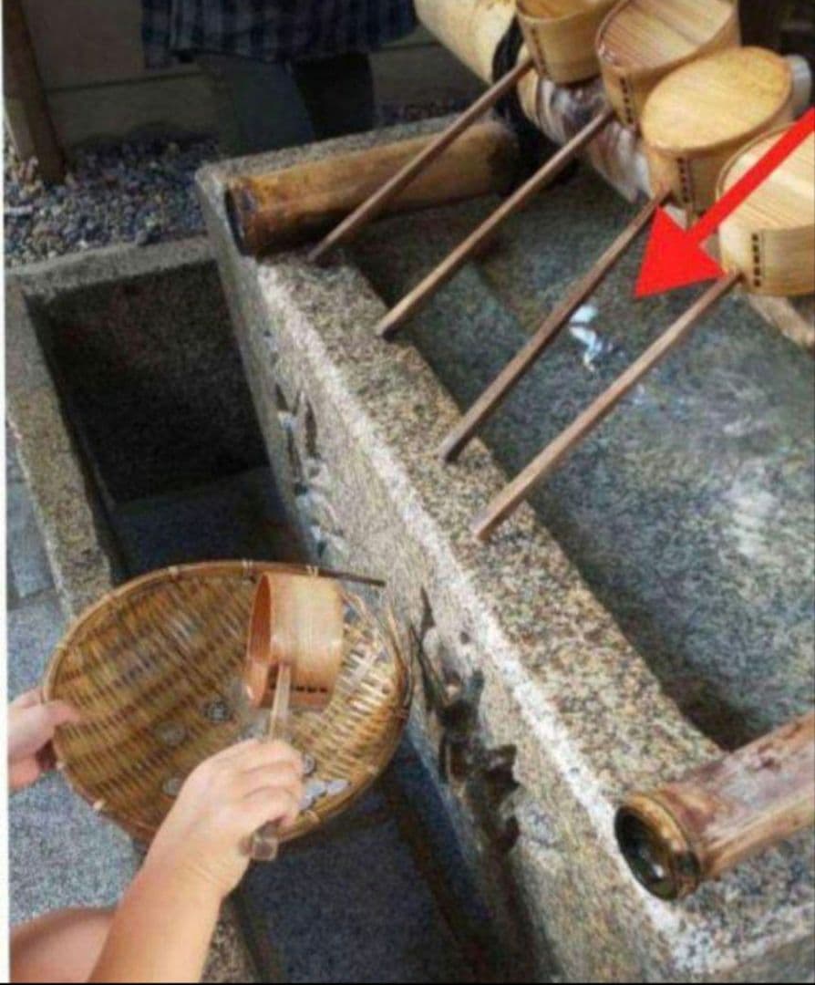 うさみみですヾ(。>﹏<。)ノ゛✧*。