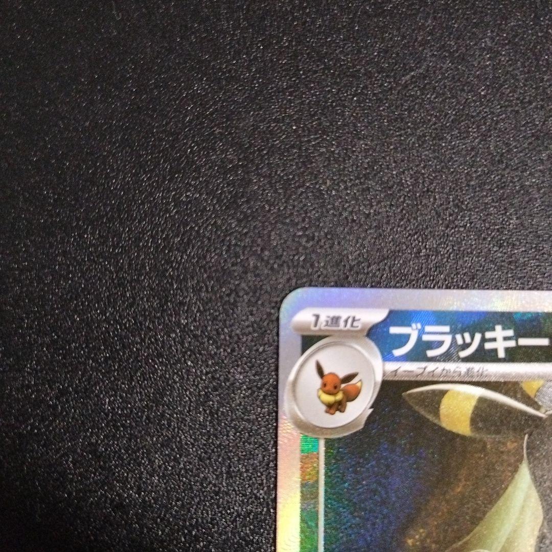 ブラッキー　マスターボールミラー　テラスタルフェス