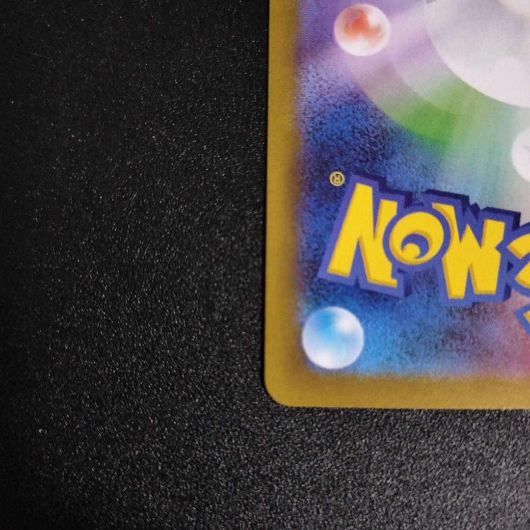 ブラッキー　マスターボールミラー　テラスタルフェス