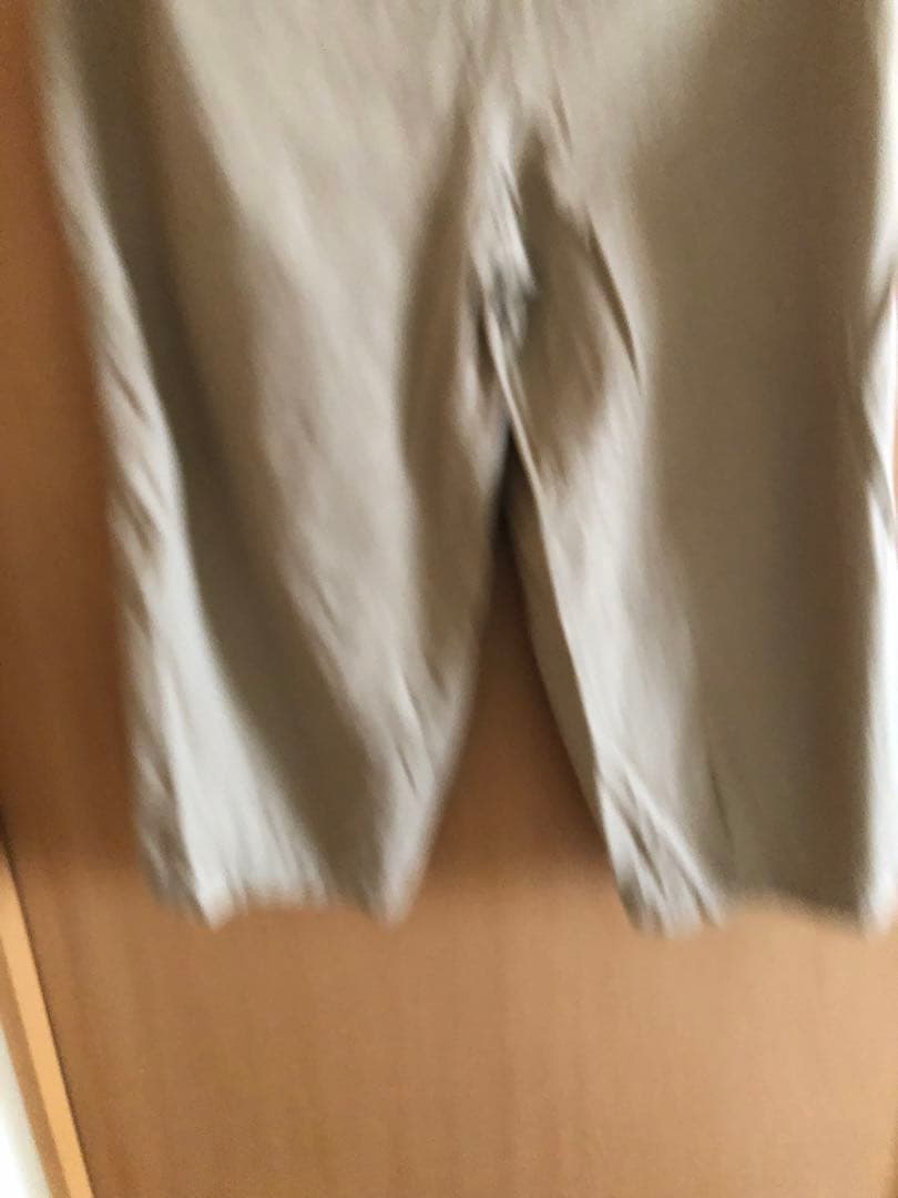 NEEDLES ニードルス　ヒザデルパンツ　ネペンテス　H.D. Pant