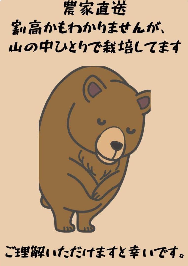 現在、成長待ち[農家直送]タラの芽00g以上