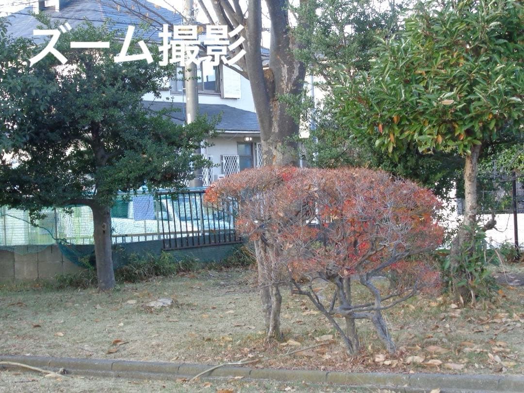 追加有り⭕️【動作確認済み】 SONY Cyber−Shot DSC-W730