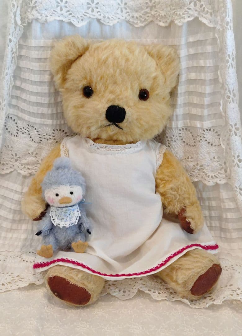 チャドバレー ベア 36cm