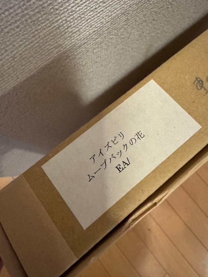 ポールアイズピリ　ムーブバックの花 EA版 サイン入り リトグラフ