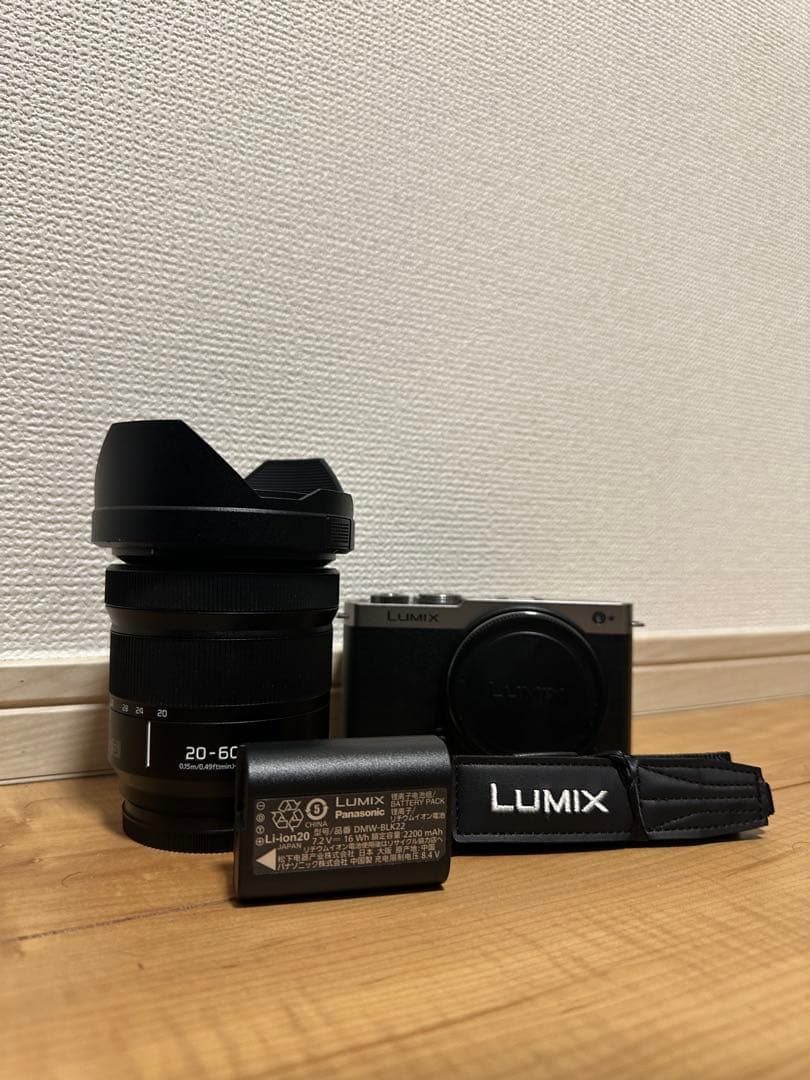 LUMIX S9 ミラーレス一眼 20-60mm