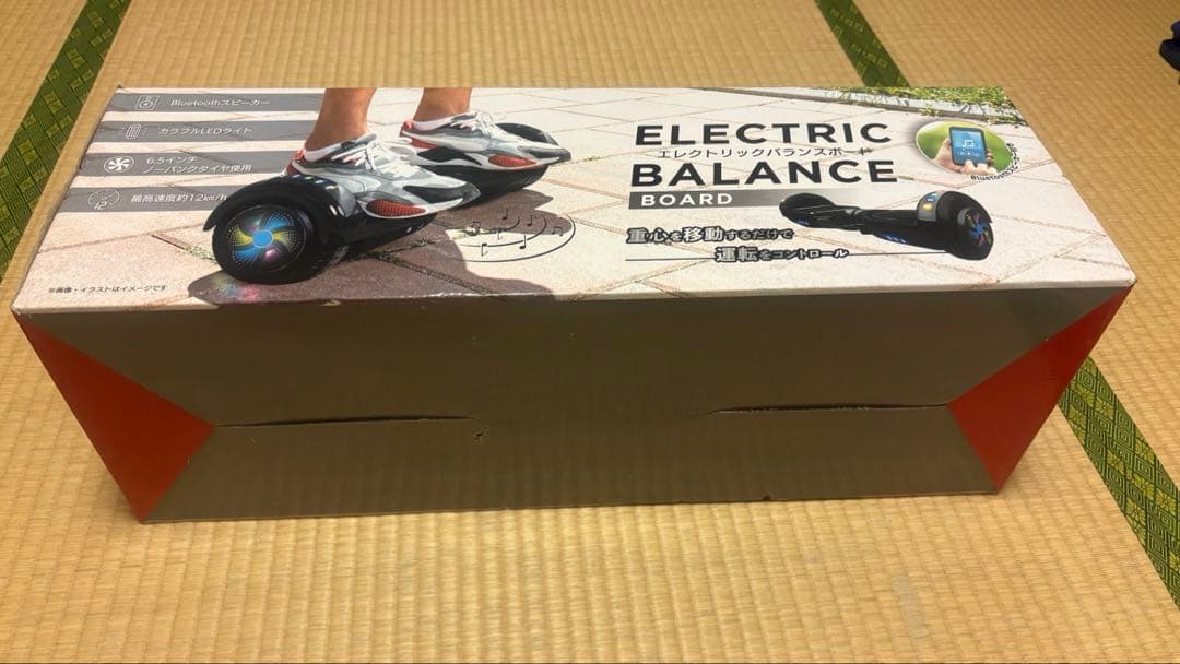 Electric Balance Board エレクトリックバランスボード