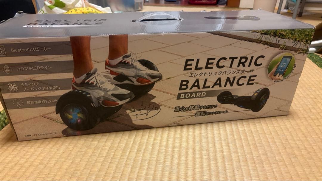 Electric Balance Board エレクトリックバランスボード