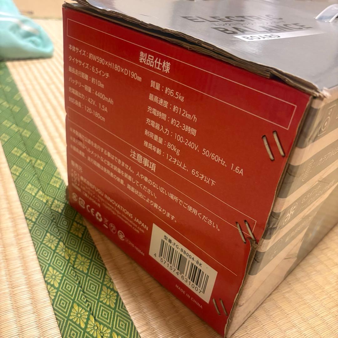 Electric Balance Board エレクトリックバランスボード