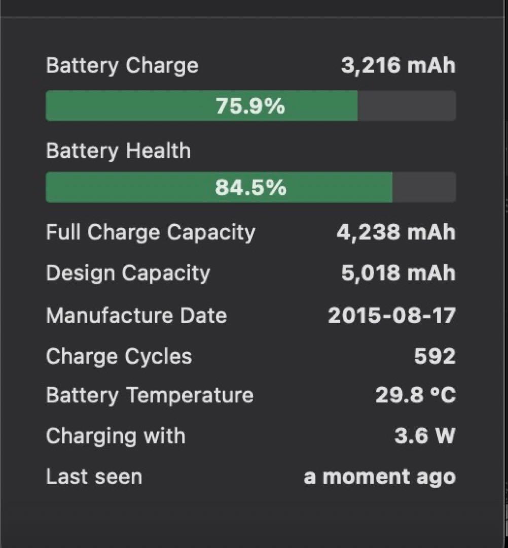iPad mini 4 ゴールド 本体　64GB