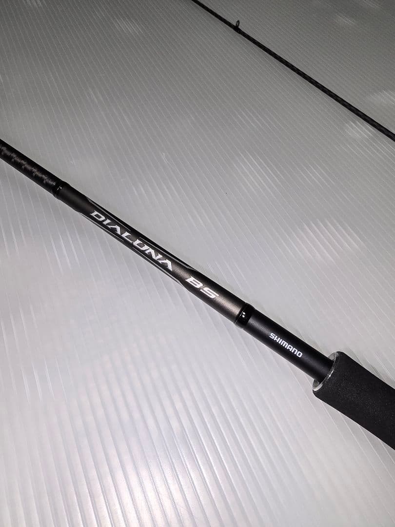 SHIMANO 21DIALUNA BS S66ML シーバスロッド
