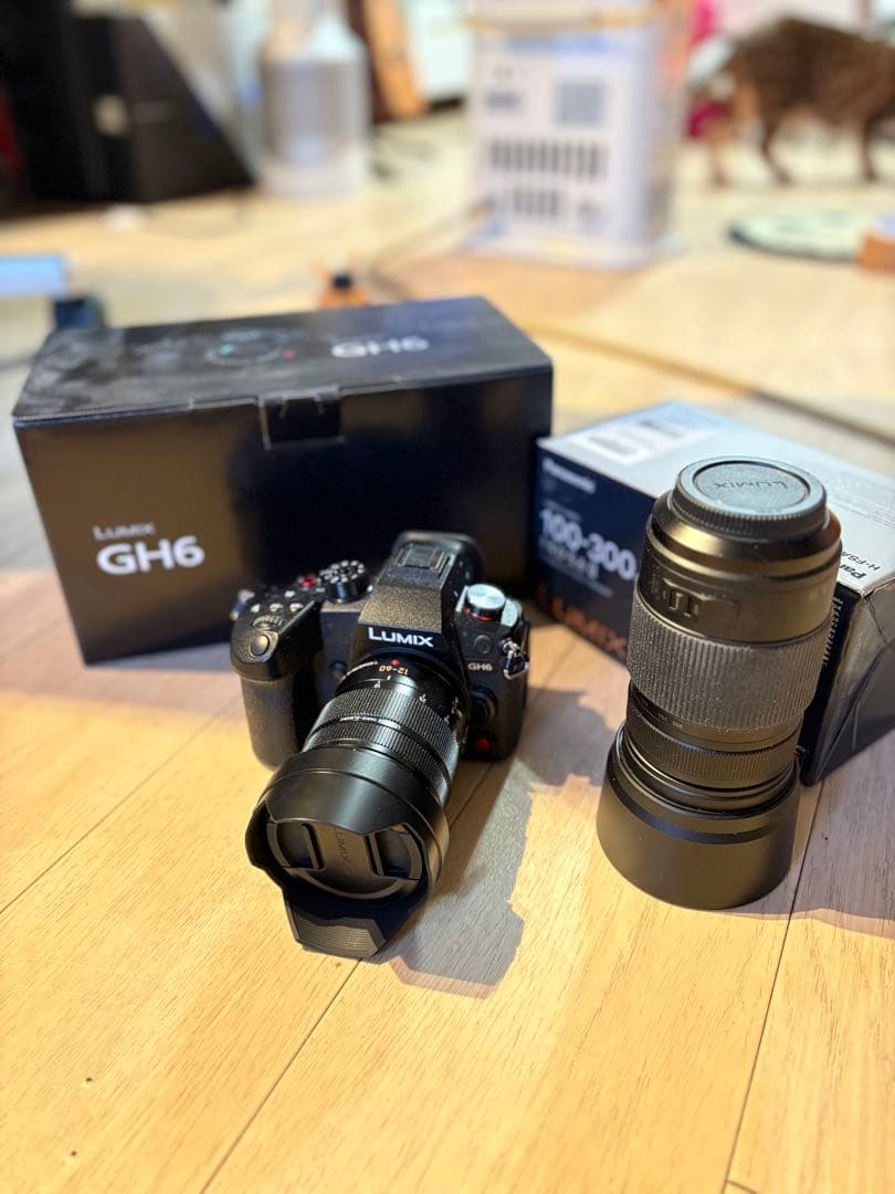 LUMIX DC-GH6L 標準ズームレンズキット プラス