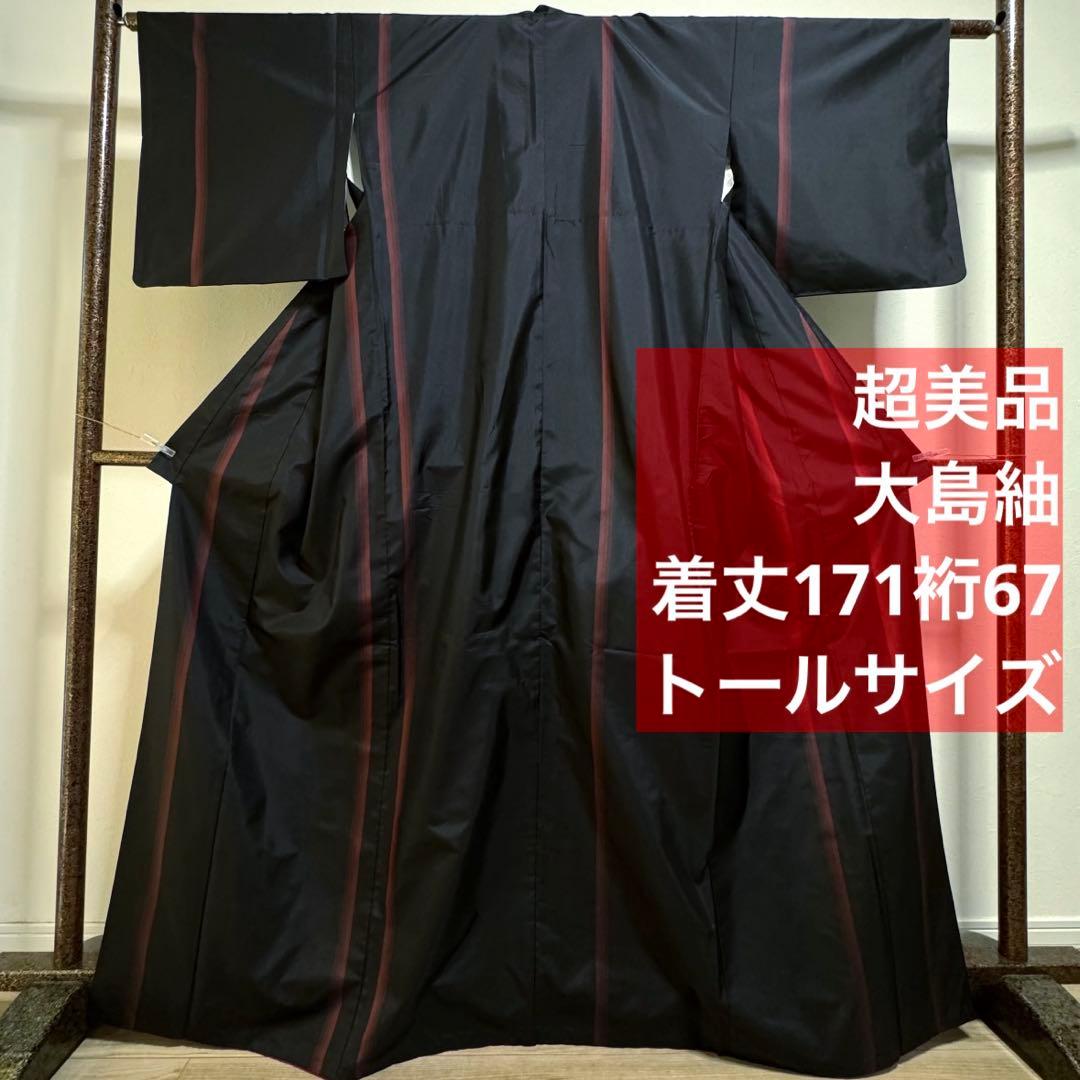 超美品　着物　正絹　袷　現代　紬　171裄67 黒　赤　大島紬　トール　シンプル