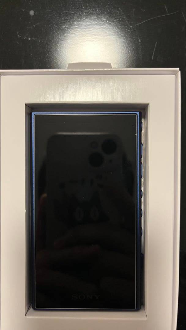 Walkman ウォークマン NW-A306 32GB ブルー箱付き 同梱品付き