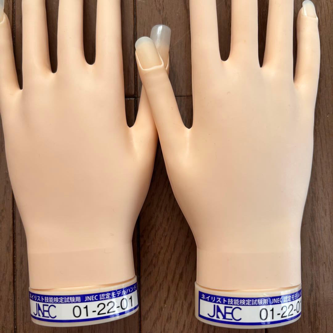 JNEC認定モデルハンド 【美品】