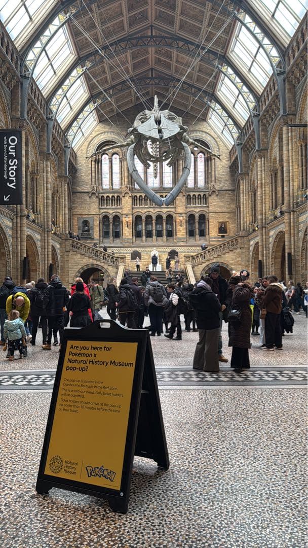 Pikachu at the Museum ポケモン ピカチュウ 自然史博物館