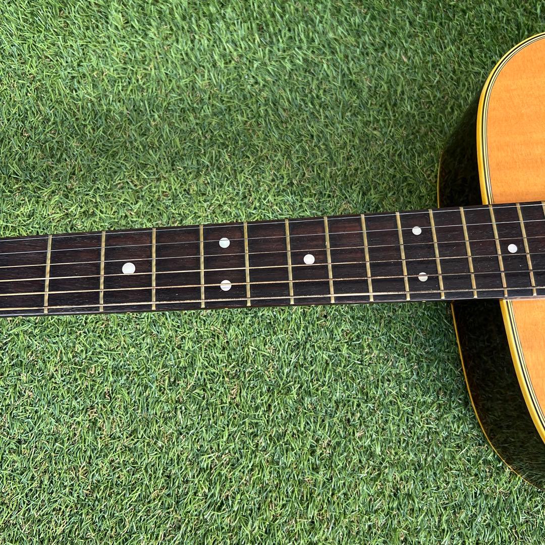 希少TOKAI GAKKI CatsEyes CE-800T 1212680