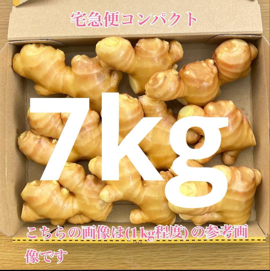 熊本生姜7キロ