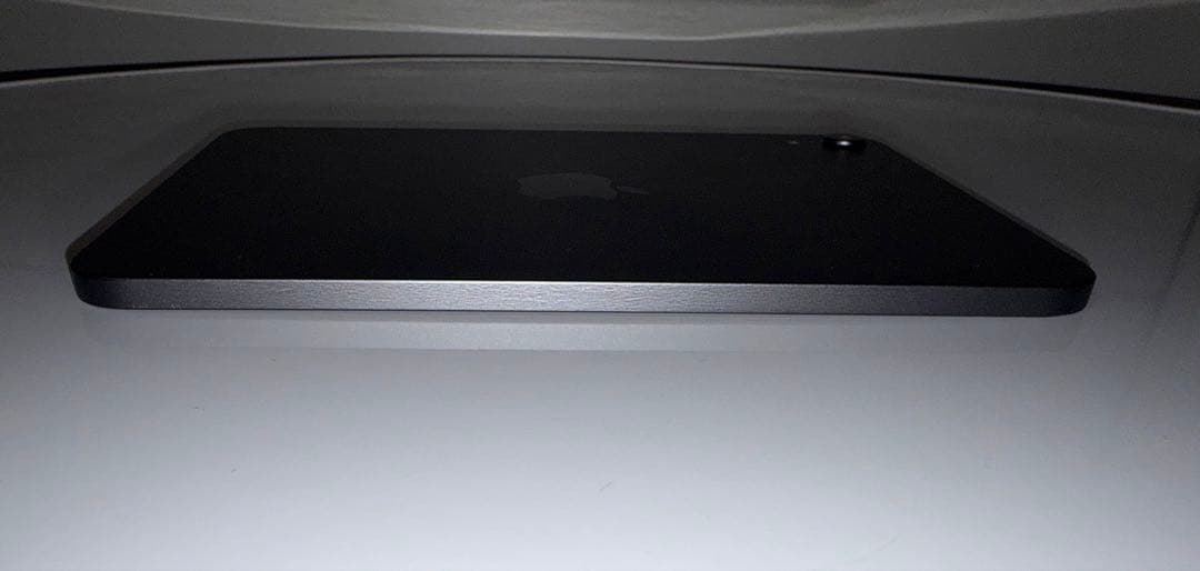 黒染めiPad mini 6 スペースグレイ　64GB