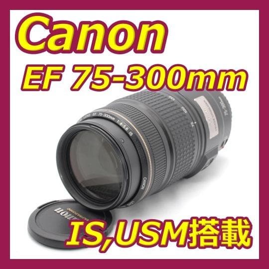 ✨Canon EF75-300mm IS USM✨望遠レンズ✨美品✨手ぶれ補正✨