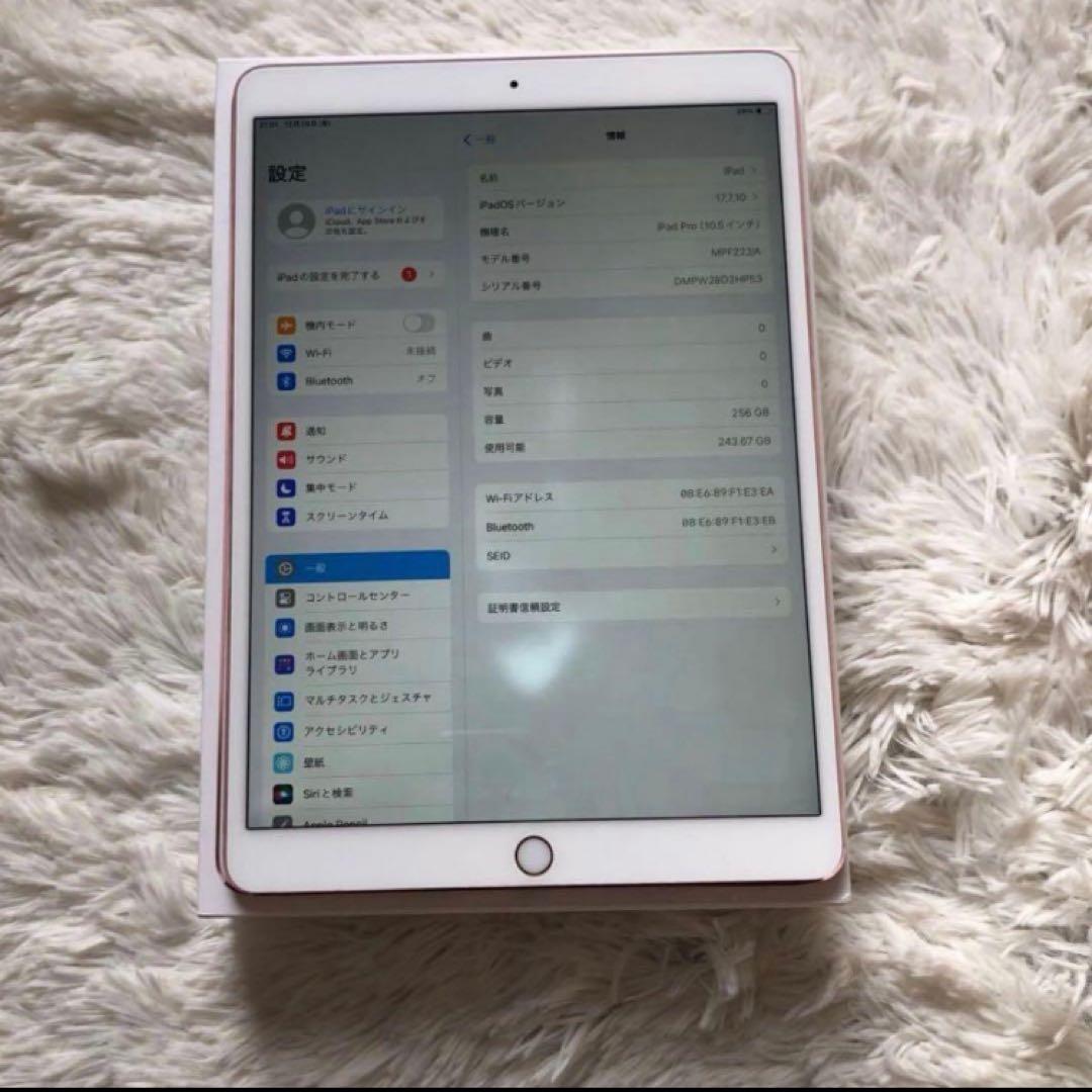 【ほぼ未使用】iPad Pro 10.5 256GB 付属品多数 【すぐ発送】