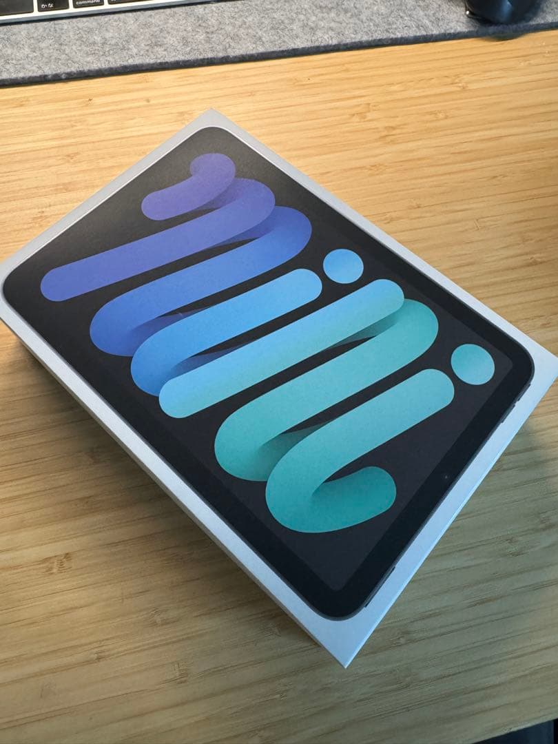 iPad本体 iPad mini A17pro 128GB Wi-Fi + Cellular