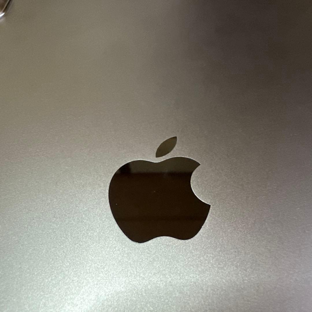 Apple iPad Pro12.9インチ 第4世代 256G SIMフリー