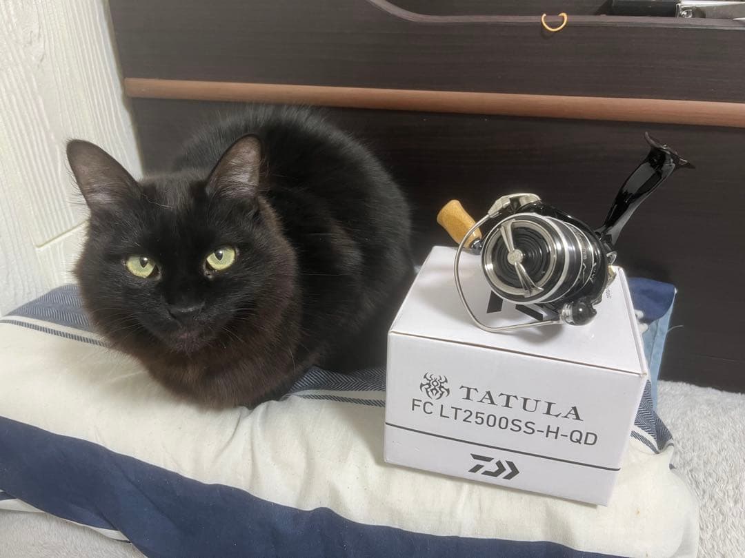 23タトゥーラ FC LT2500SS-H-QD