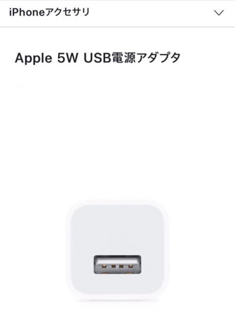 Apple製AirPods Pro 第1世代 動作確認済｜傷ありA