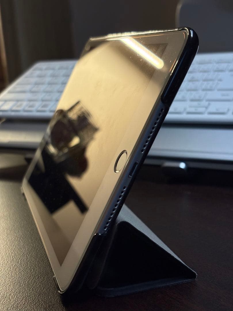 iPad mini 5 スタンド付きカバー SIMフリー 画面保護あり