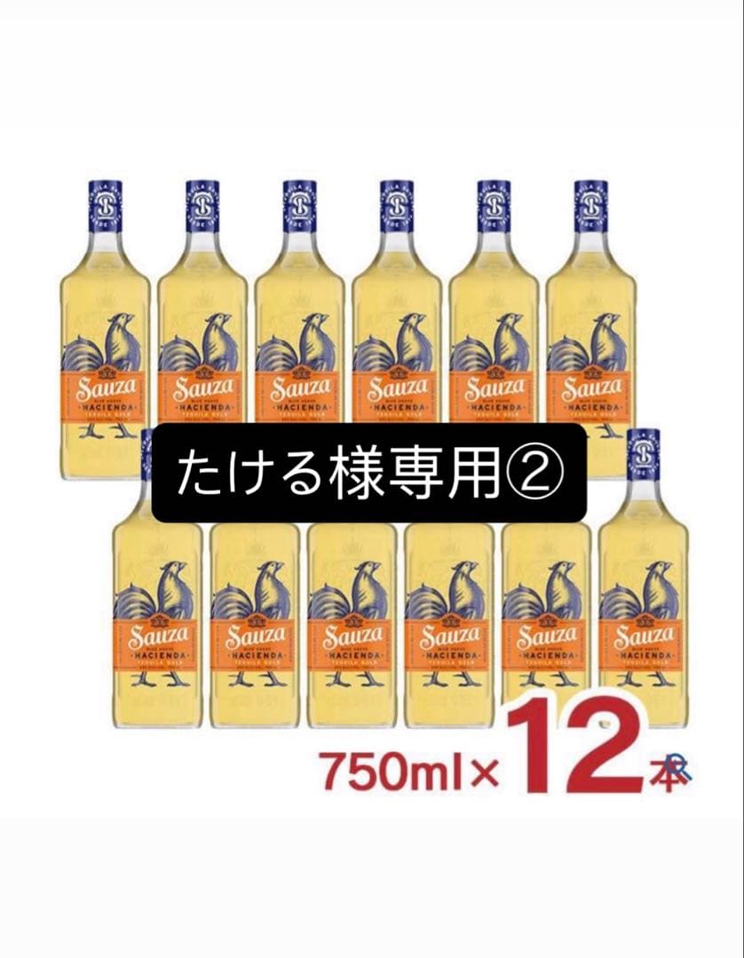 たける　サウザ1ケース②